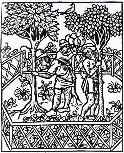 Tending Vines from 